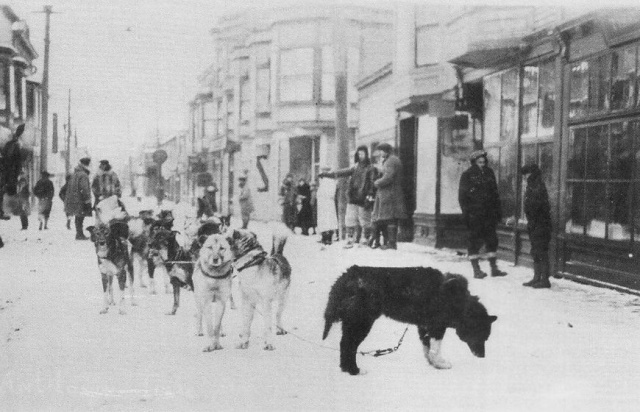 balto.sized