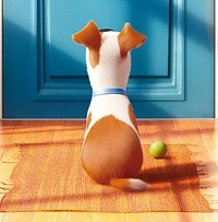 « The secret life of pets », affiche et bande-annonce !