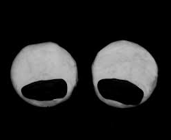 « Noot », web-série en stop motion par Mamita & Papito !