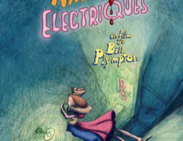 Les amants électriques