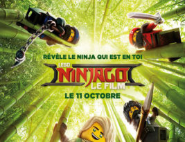 Lego ninjago, le film