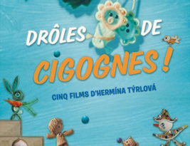 Drôles de cigognes !